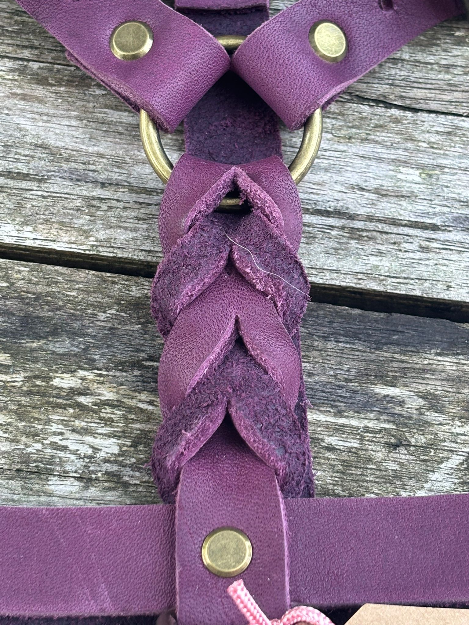 Lilypatch Berry Special thumbnail